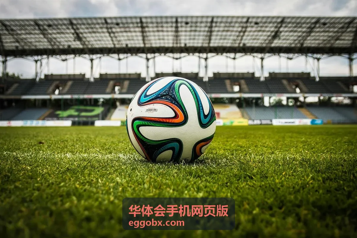 华体会手机网页版会员中心安全退出操作